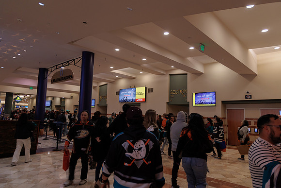 040524_ANAHEIM_DUCKS_1873
