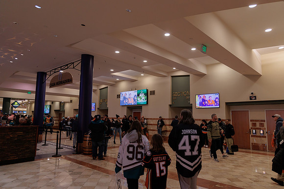 040524_ANAHEIM_DUCKS_1875