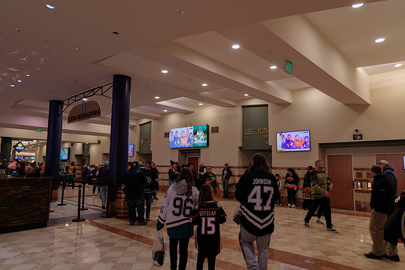 040524_ANAHEIM_DUCKS_1876