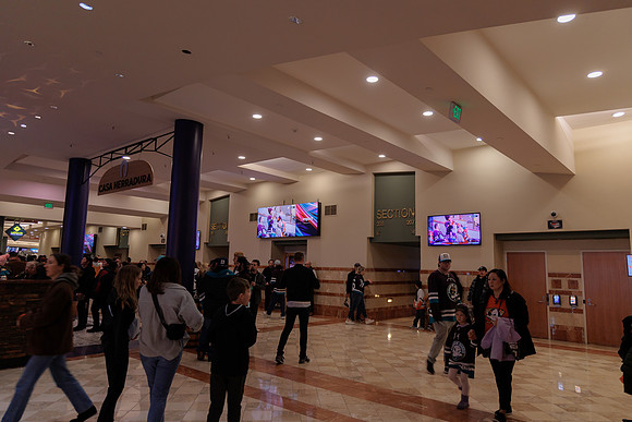 040524_ANAHEIM_DUCKS_1879
