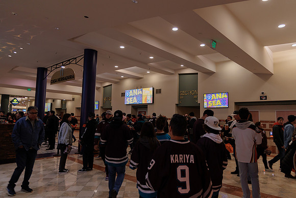 040524_ANAHEIM_DUCKS_1881