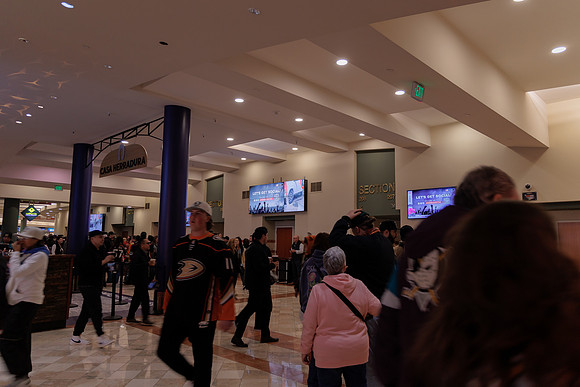 040524_ANAHEIM_DUCKS_1884