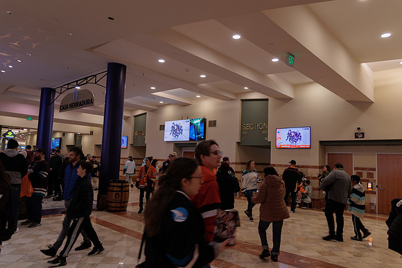 040524_ANAHEIM_DUCKS_1887