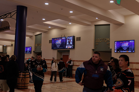 040524_ANAHEIM_DUCKS_1890