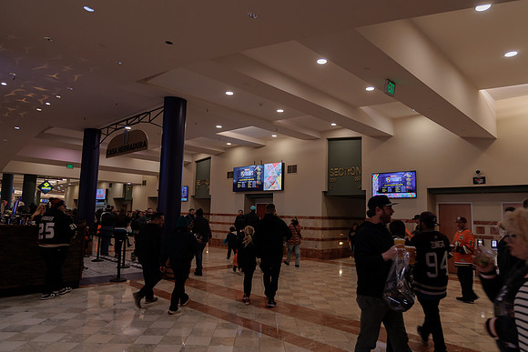 040524_ANAHEIM_DUCKS_1894