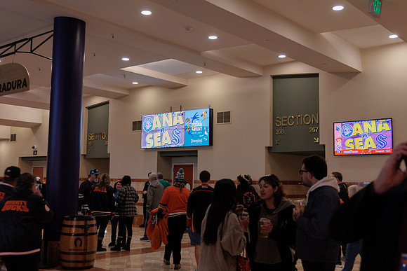 040524_ANAHEIM_DUCKS_1897