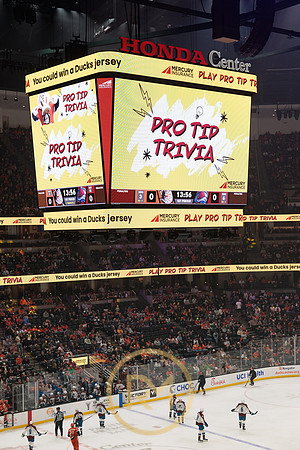 041325_ANAHEIM_DUCKS_085