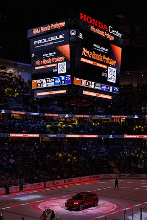 031125_ANAHEIM_DUCKS_1376