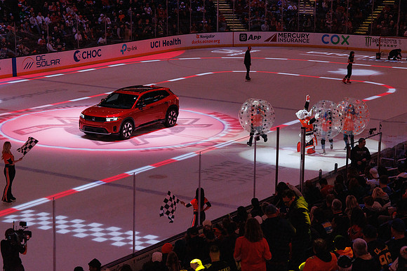 031125_ANAHEIM_DUCKS_1385