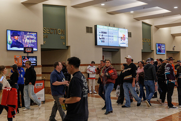 031125_ANAHEIM_DUCKS_0773