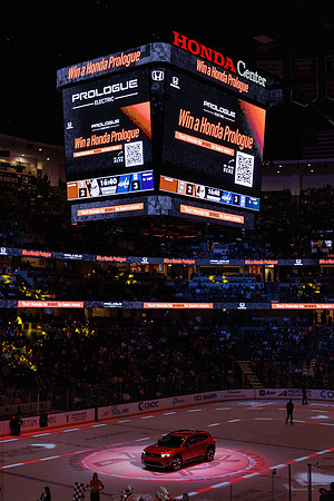 031125_ANAHEIM_DUCKS_1374
