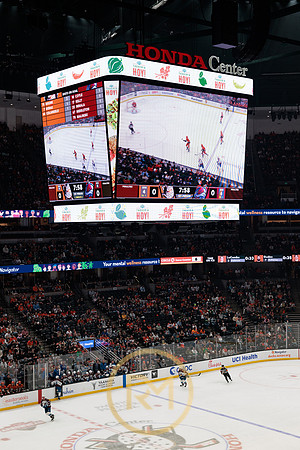 041325_ANAHEIM_DUCKS_125