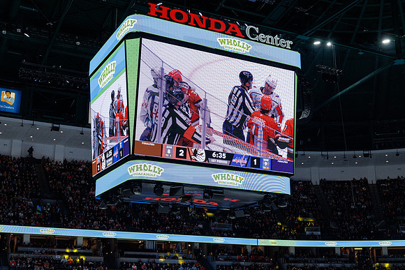 031125_ANAHEIM_DUCKS_1079