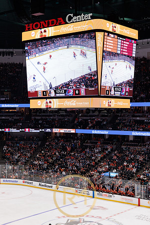 041325_ANAHEIM_DUCKS_194