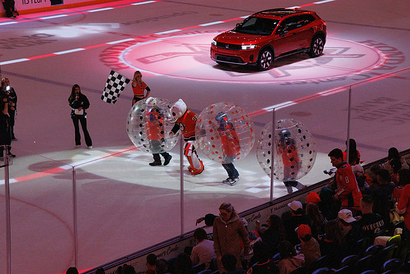 031125_ANAHEIM_DUCKS_1378