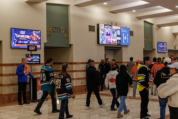 031125_ANAHEIM_DUCKS_0817