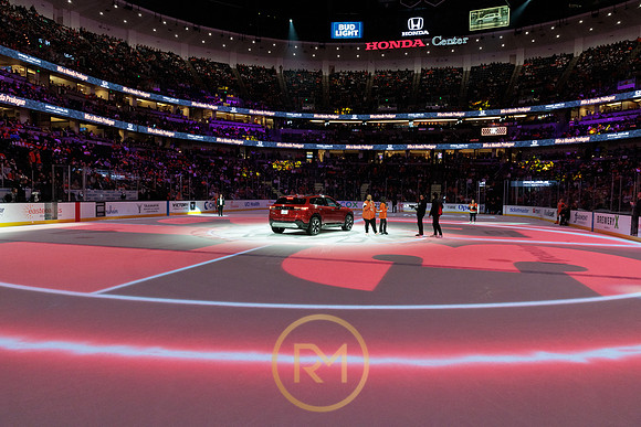 041325_ANAHEIM_DUCKS_156