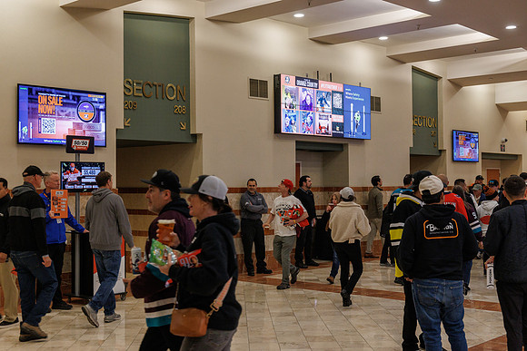 031125_ANAHEIM_DUCKS_0818