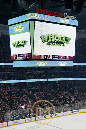 041325_ANAHEIM_DUCKS_091