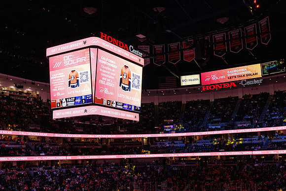 031125_ANAHEIM_DUCKS_1404