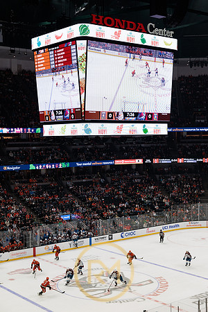 041325_ANAHEIM_DUCKS_130