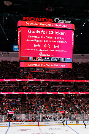 101624_ANAHEIM_DUCKS_0617