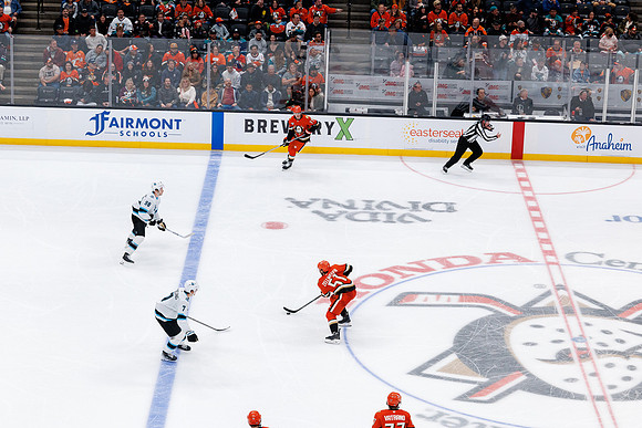 101624_ANAHEIM_DUCKS_0733