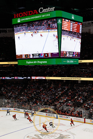 041325_ANAHEIM_DUCKS_209