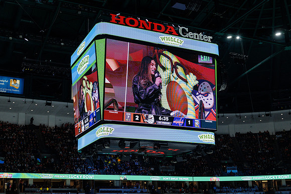 031125_ANAHEIM_DUCKS_1088