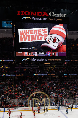 041325_ANAHEIM_DUCKS_374