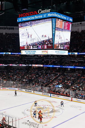 041325_ANAHEIM_DUCKS_184