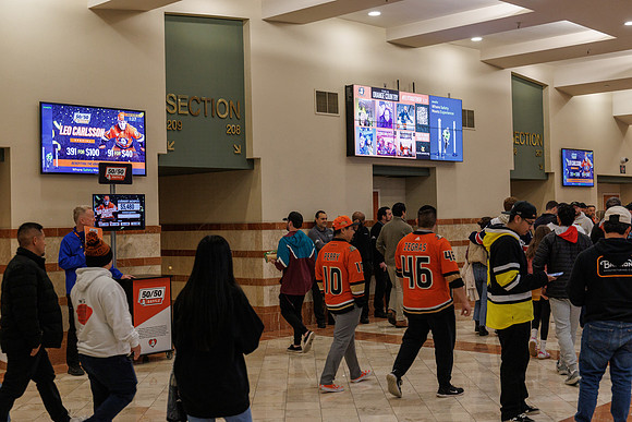 031125_ANAHEIM_DUCKS_0816