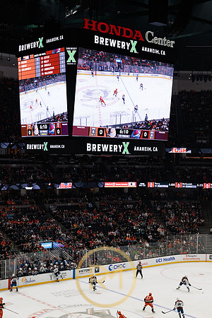 041325_ANAHEIM_DUCKS_134