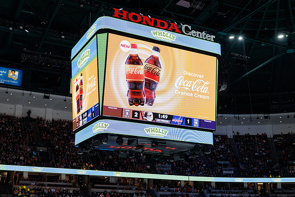 031125_ANAHEIM_DUCKS_1137