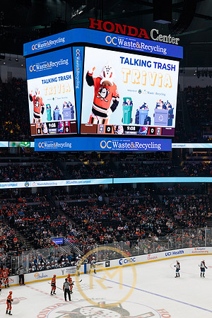041325_ANAHEIM_DUCKS_123