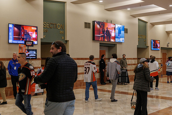 031125_ANAHEIM_DUCKS_0959