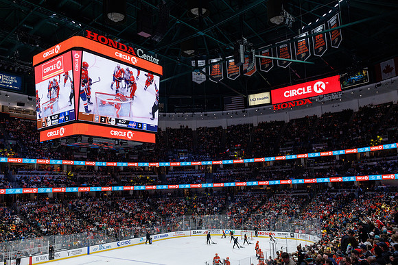 031125_ANAHEIM_DUCKS_1302