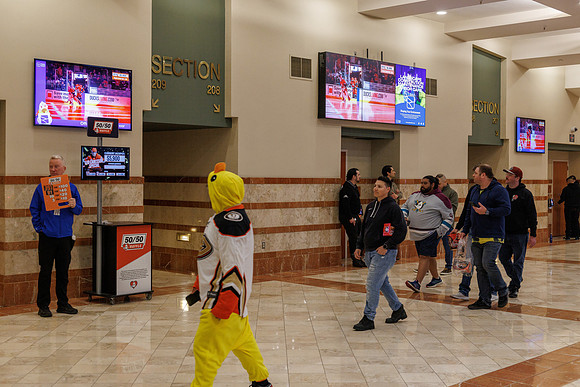 031125_ANAHEIM_DUCKS_0965