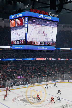 041325_ANAHEIM_DUCKS_078
