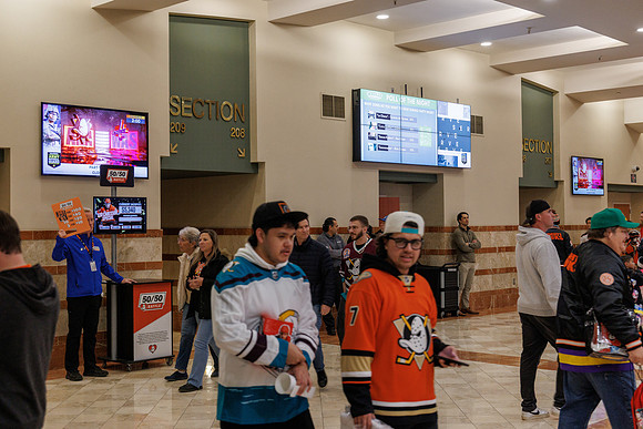 031125_ANAHEIM_DUCKS_0808