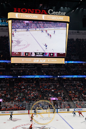 041325_ANAHEIM_DUCKS_354