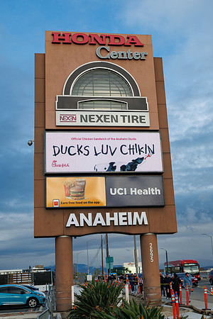 031125_ANAHEIM_DUCKS_0690