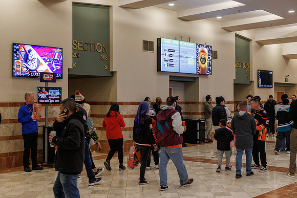 031125_ANAHEIM_DUCKS_0806