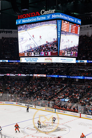 041325_ANAHEIM_DUCKS_185