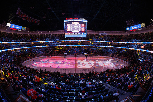 031125_ANAHEIM_DUCKS_0239