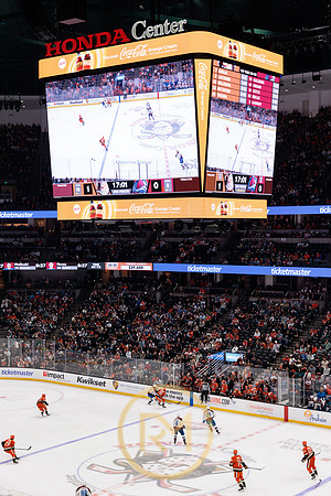 041325_ANAHEIM_DUCKS_198