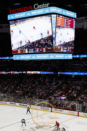 041325_ANAHEIM_DUCKS_206