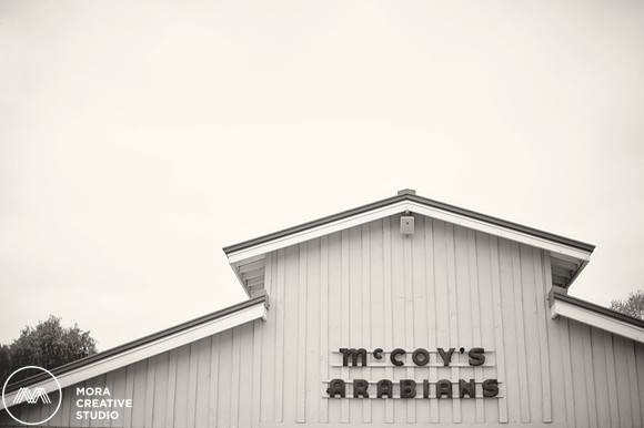 OC_Wedding_Photographers_024