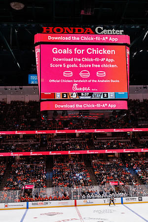 101624_ANAHEIM_DUCKS_0613