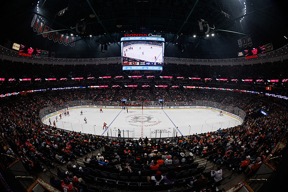 031125_ANAHEIM_DUCKS_0241